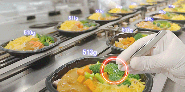 OSHIMA-Blog-Top-Tools-for-Food-Quality-Control-and-Contaminant-Detection-600x300