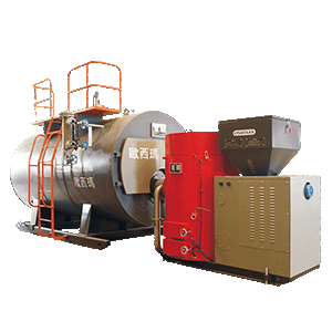 WNS Biomass Steam Boiler — Horizontal Fire-Tube Type